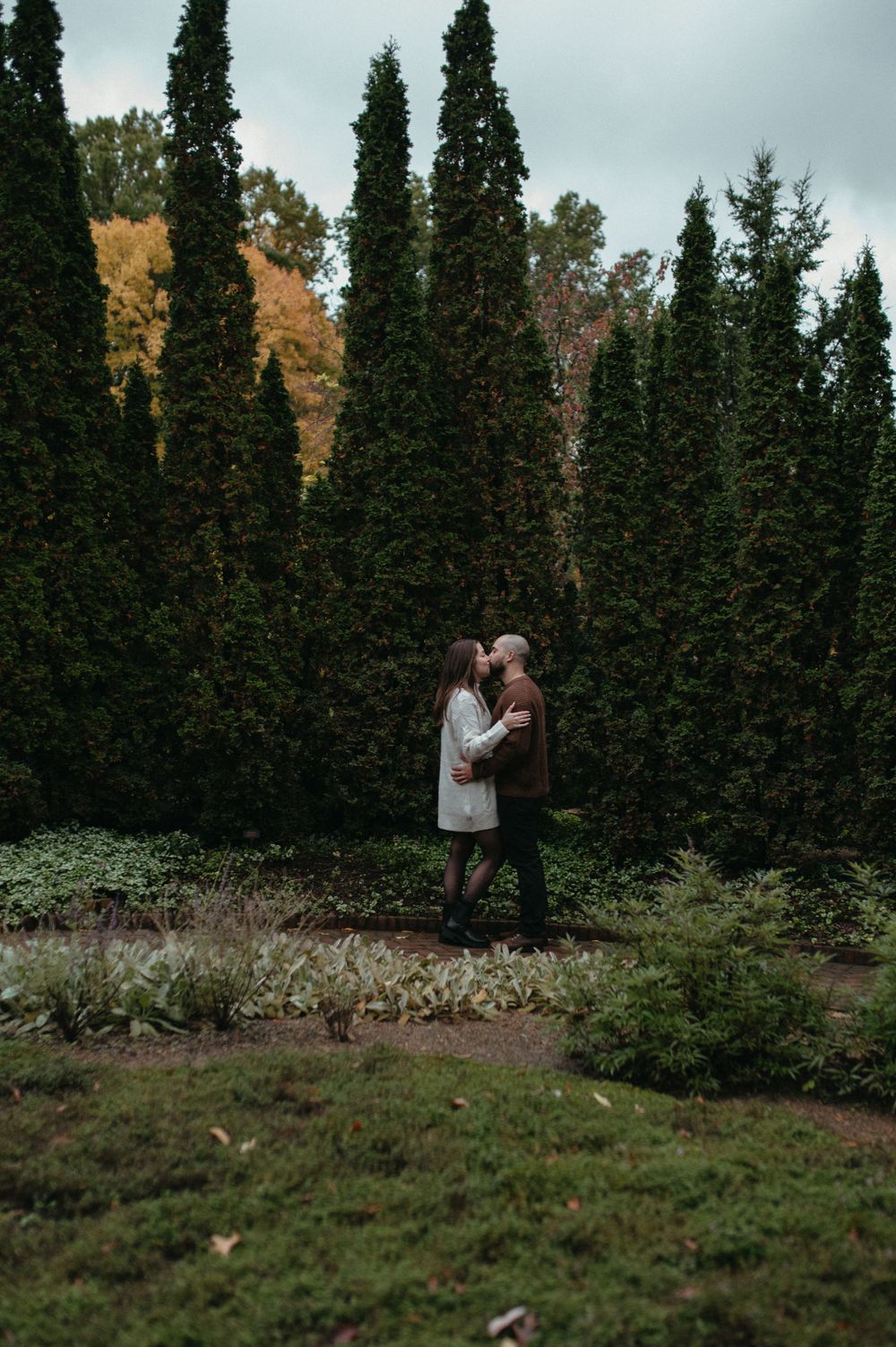A couple embracing near a row of tall cypress trees on a misty autumn day.