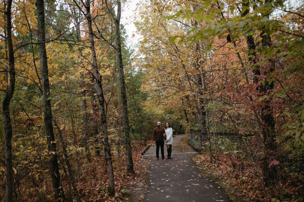 A paved path through an autumn forest with warm fall colors and bare trees.