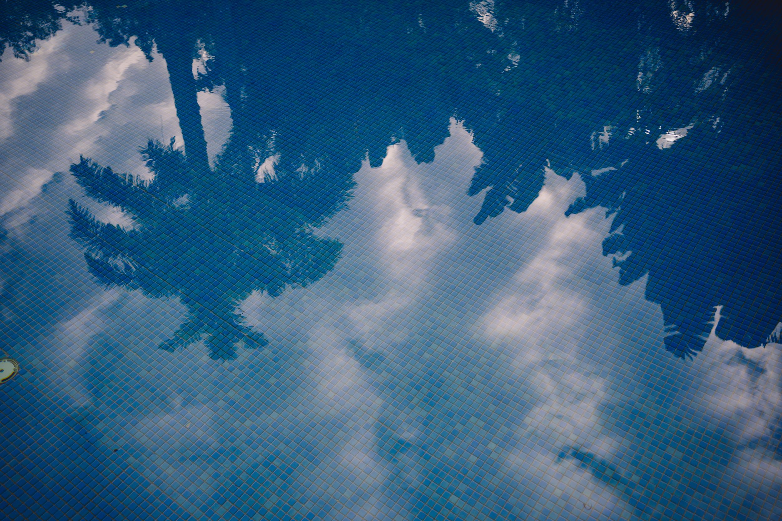 Dreamy upward view of blue sky with white fluffy clouds framed by dark tree silhouettes.
