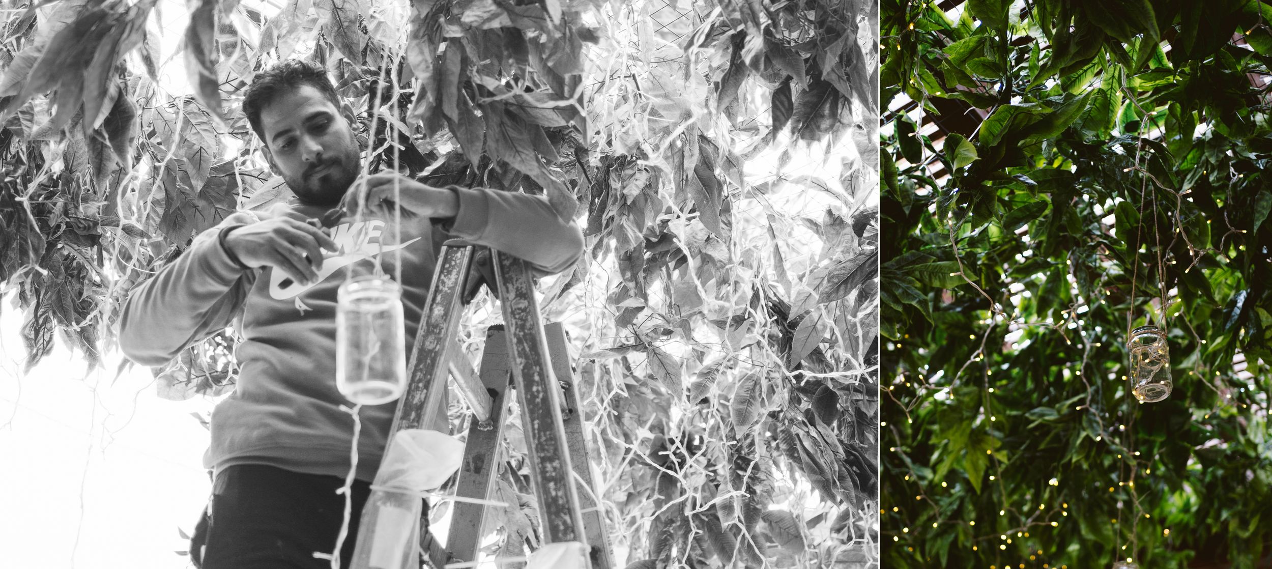 Split image showing camera setup with outdoor greenery in black and white.