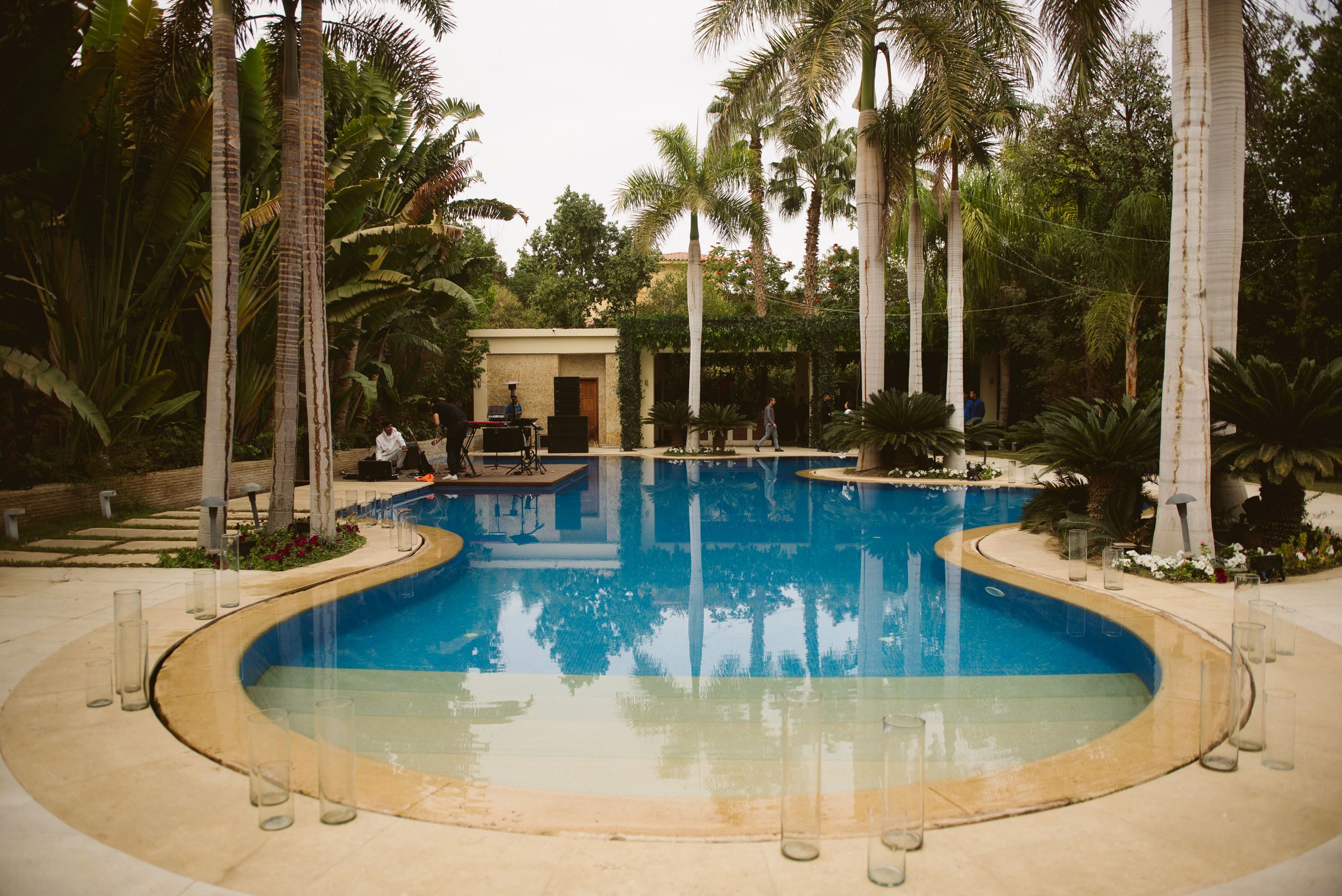 Luxurious curved swimming pool surrounded by tall palm trees and tropical landscaping.