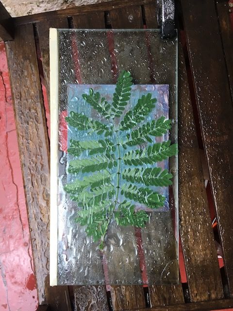 Fine Art Photogram by Barbados artist Logan C Thomas commission cyanotype, lumen print, alternative processes