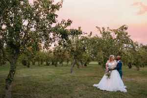 Wedding couple standing together in an orchard during golden hour with pink sky.