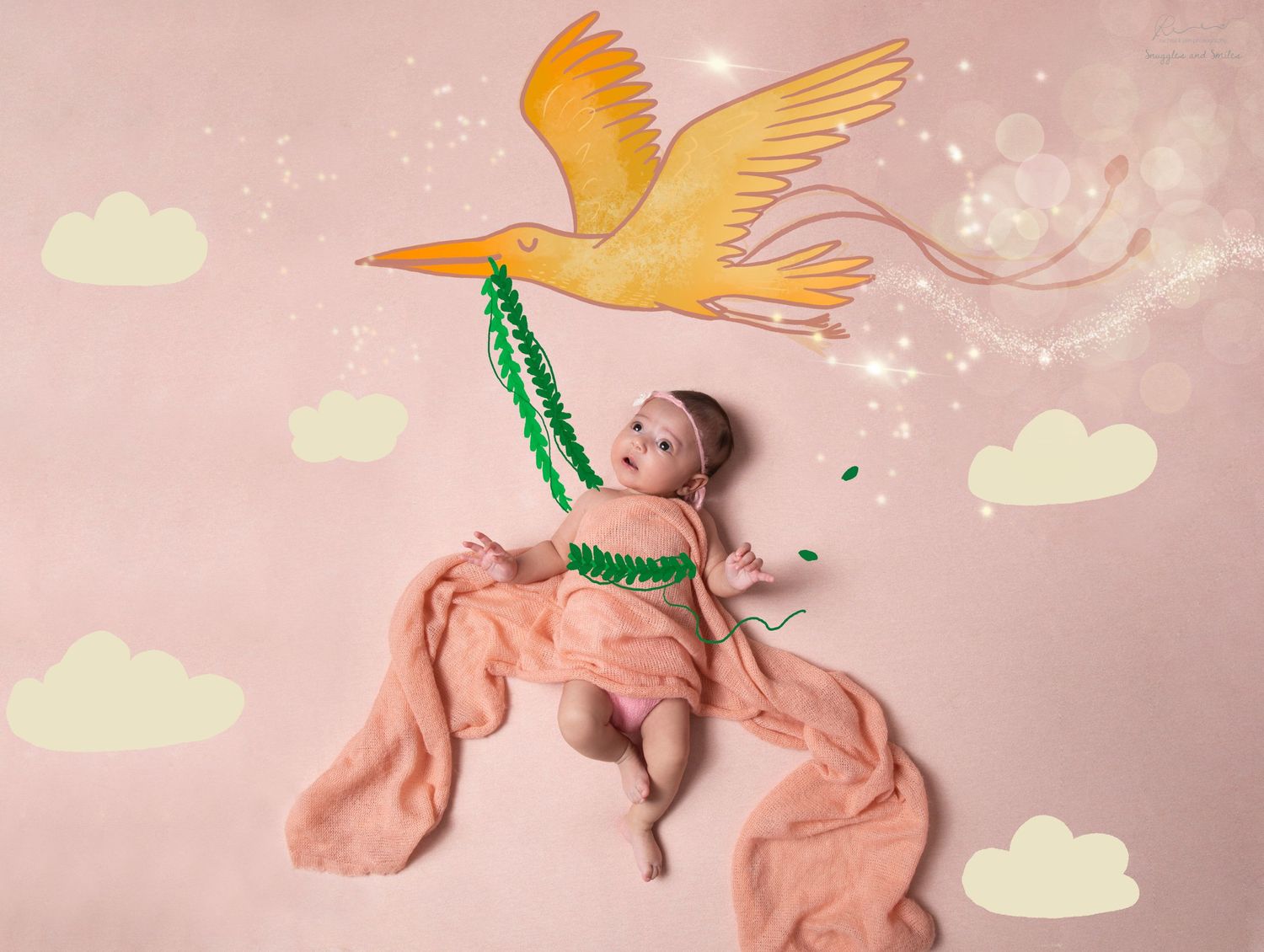 best maternity and Newborn Photoshoot in mumbai