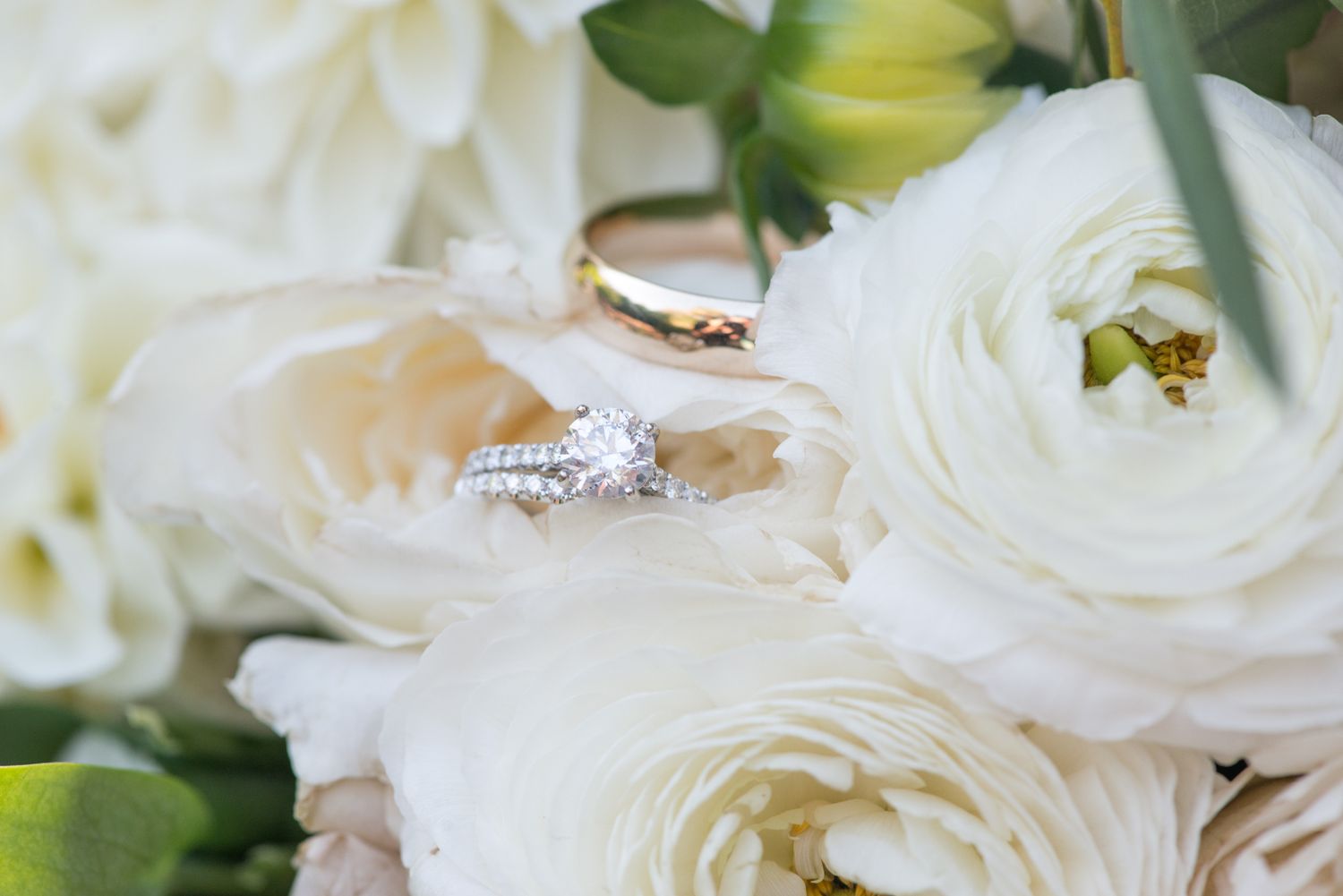 Wedding rings nestled among white roses with delicate floral details.