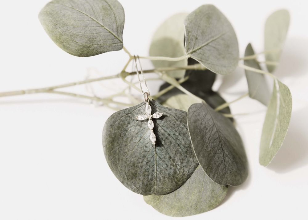 Soft silvery green eucalyptus leaves arranged artistically on white background in minimalist style.