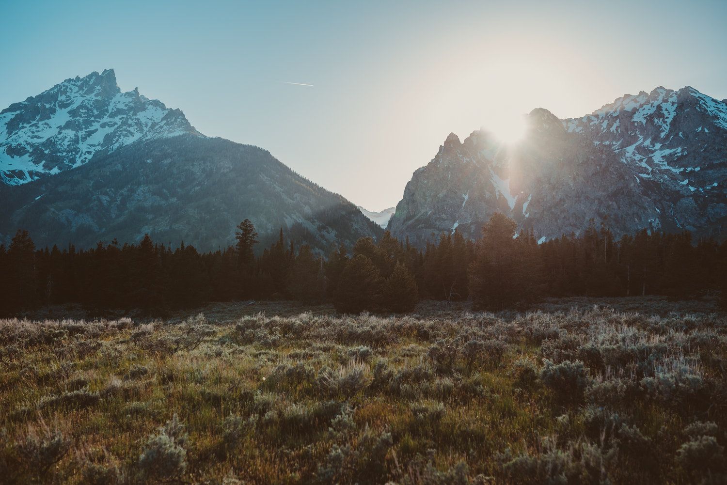 Snow-capped mountain peaks at sunrise with sage brush meadow in the foreground.