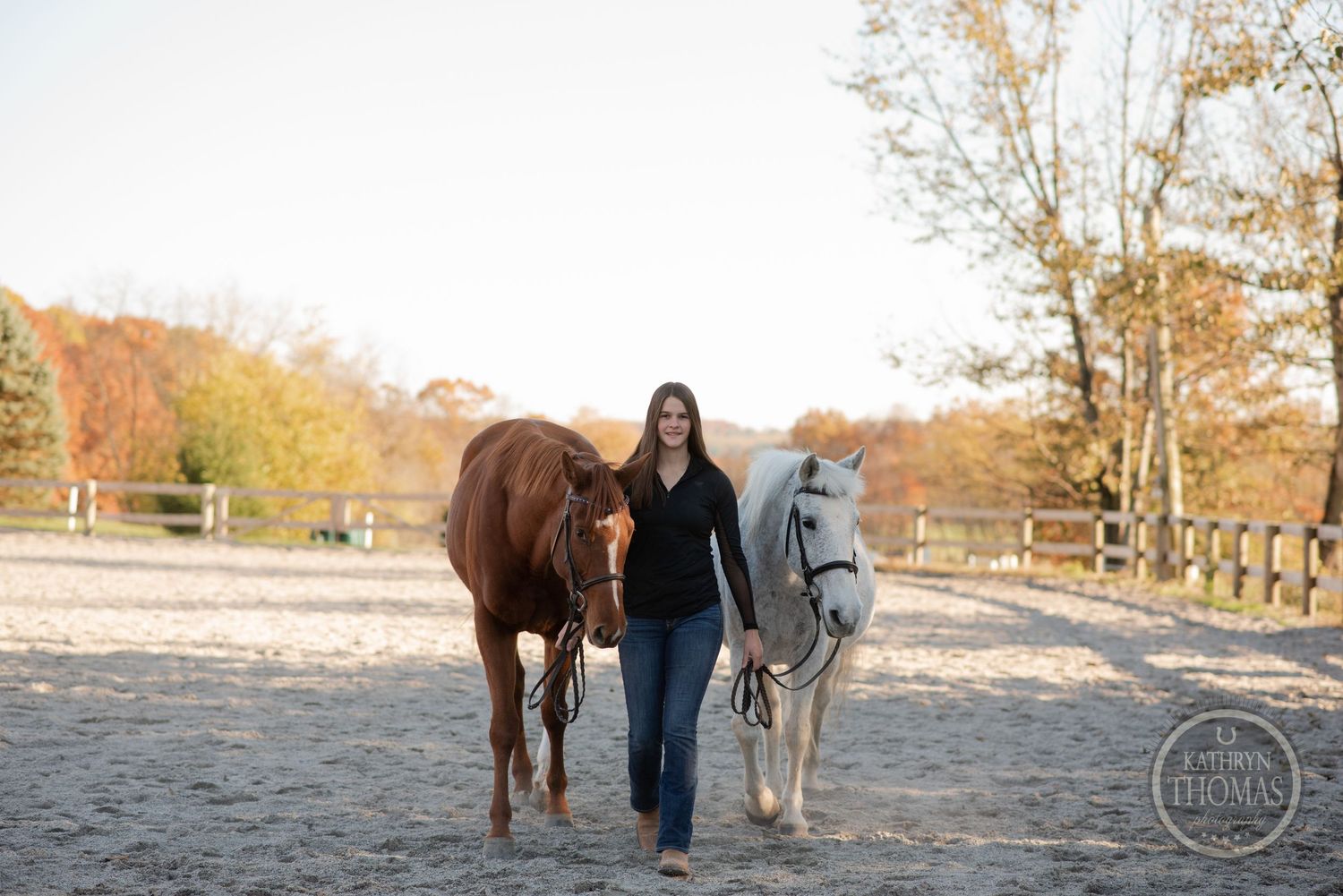 Two horses, one brown and one white, are led through an outdoor arena by a person in black on an autumn day.