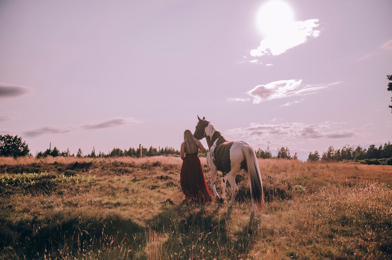 A woman in a long dress stands with a painted horse in a sunlit golden meadow with trees in the background.