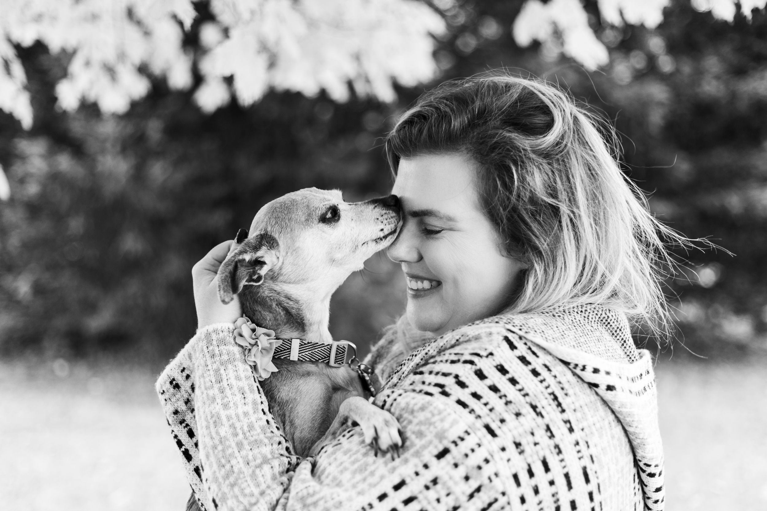 dog giving loving to young pet owner