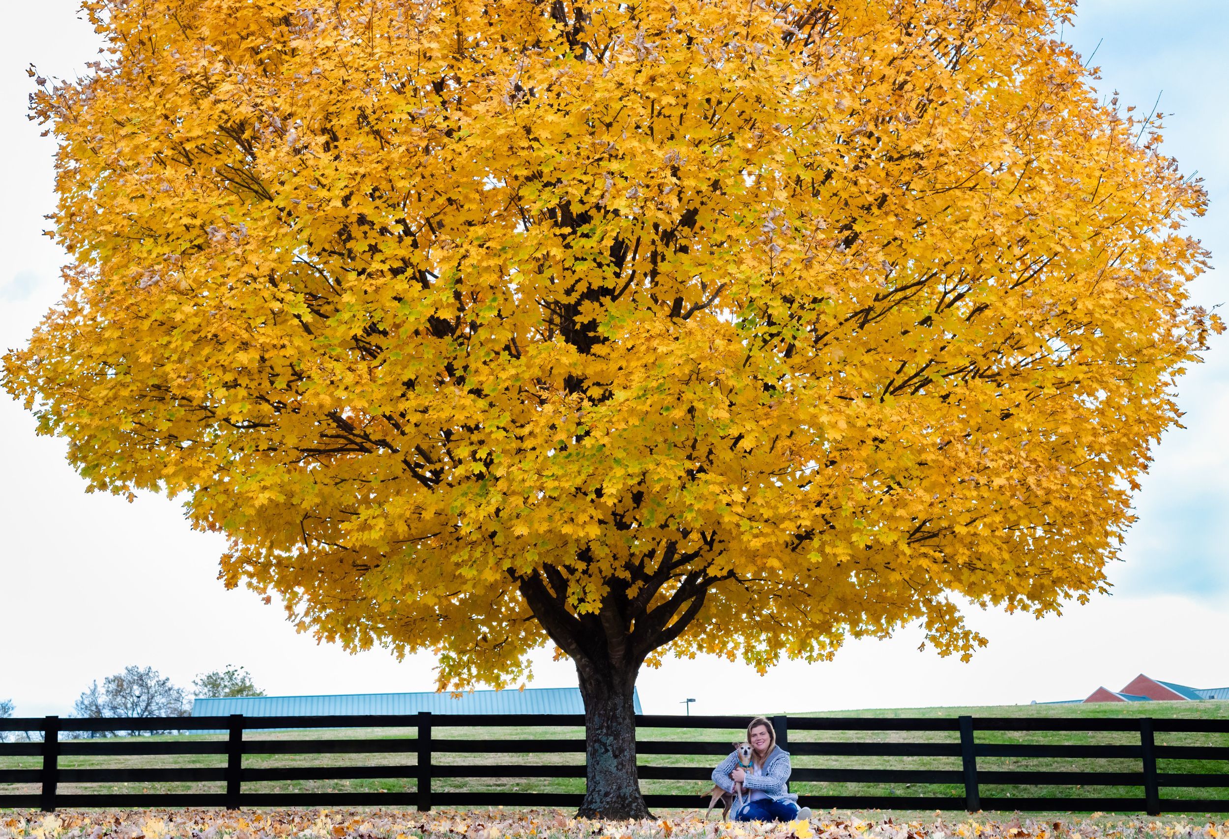 blonde girl and her dog on a beautiful fall day