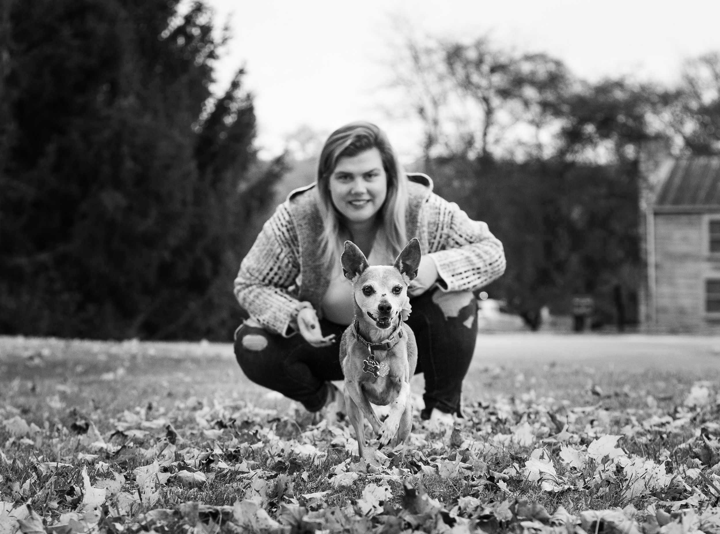 portrait of dog running toward camera with owner in background