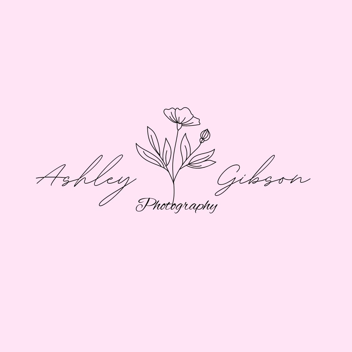 Elegant photography logo design with handwritten script text and delicate floral butterfly illustration on pink background.