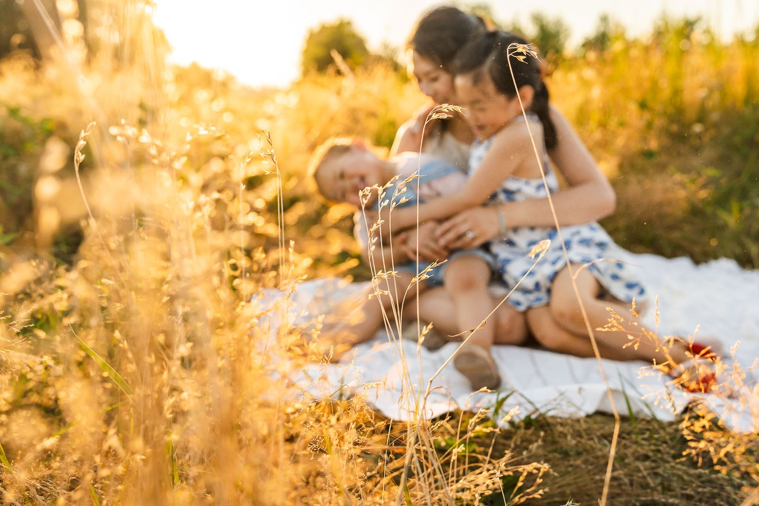 Redmond Family Photographer, golden hour, wheat field