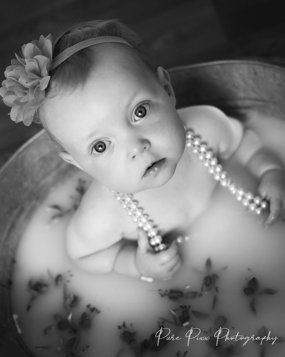 baby milkbath feilding photography pure pixx