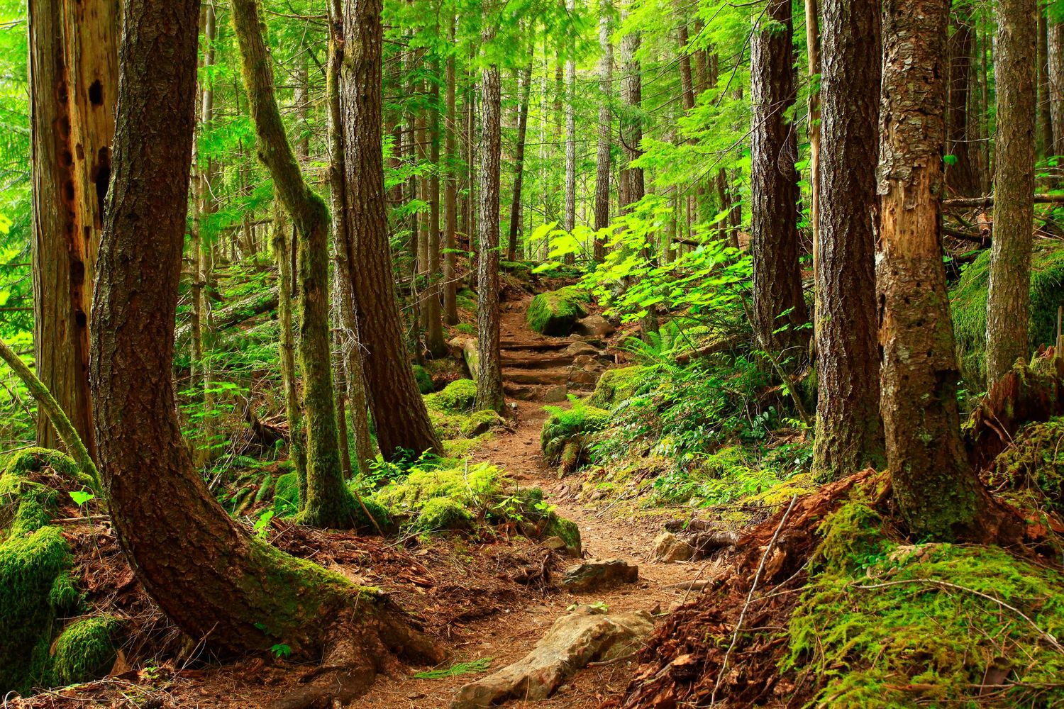 Portrait Photography in the Pacific Northwest