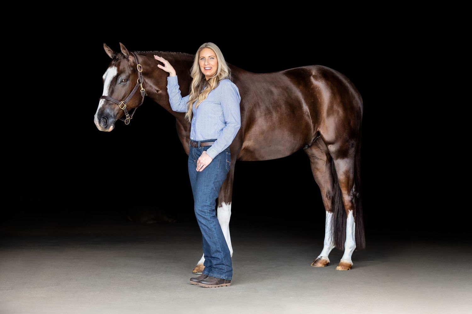 Alison and Liam black background equine portrait session