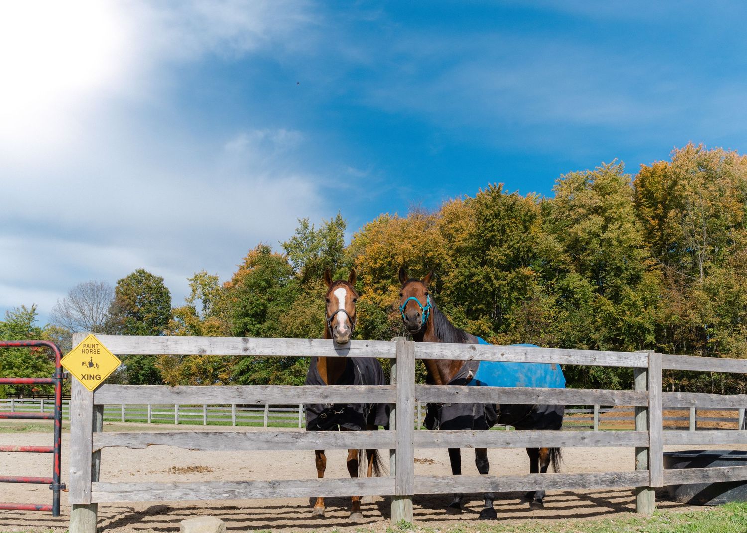 Oak Stables, Ohio