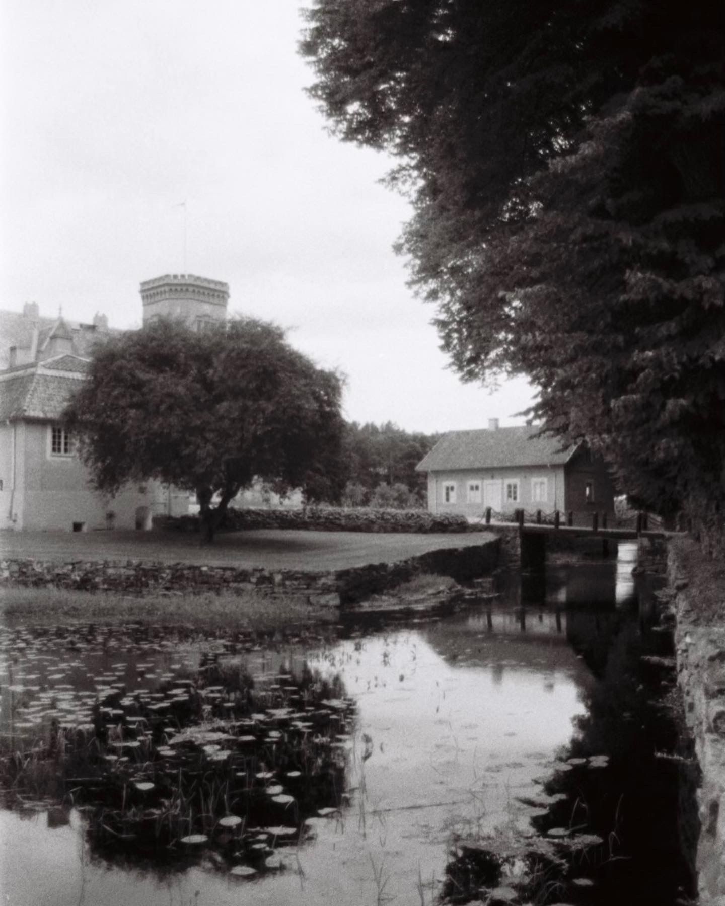 A scenic black and white landscape with a castle tower reflected in a lily pond.