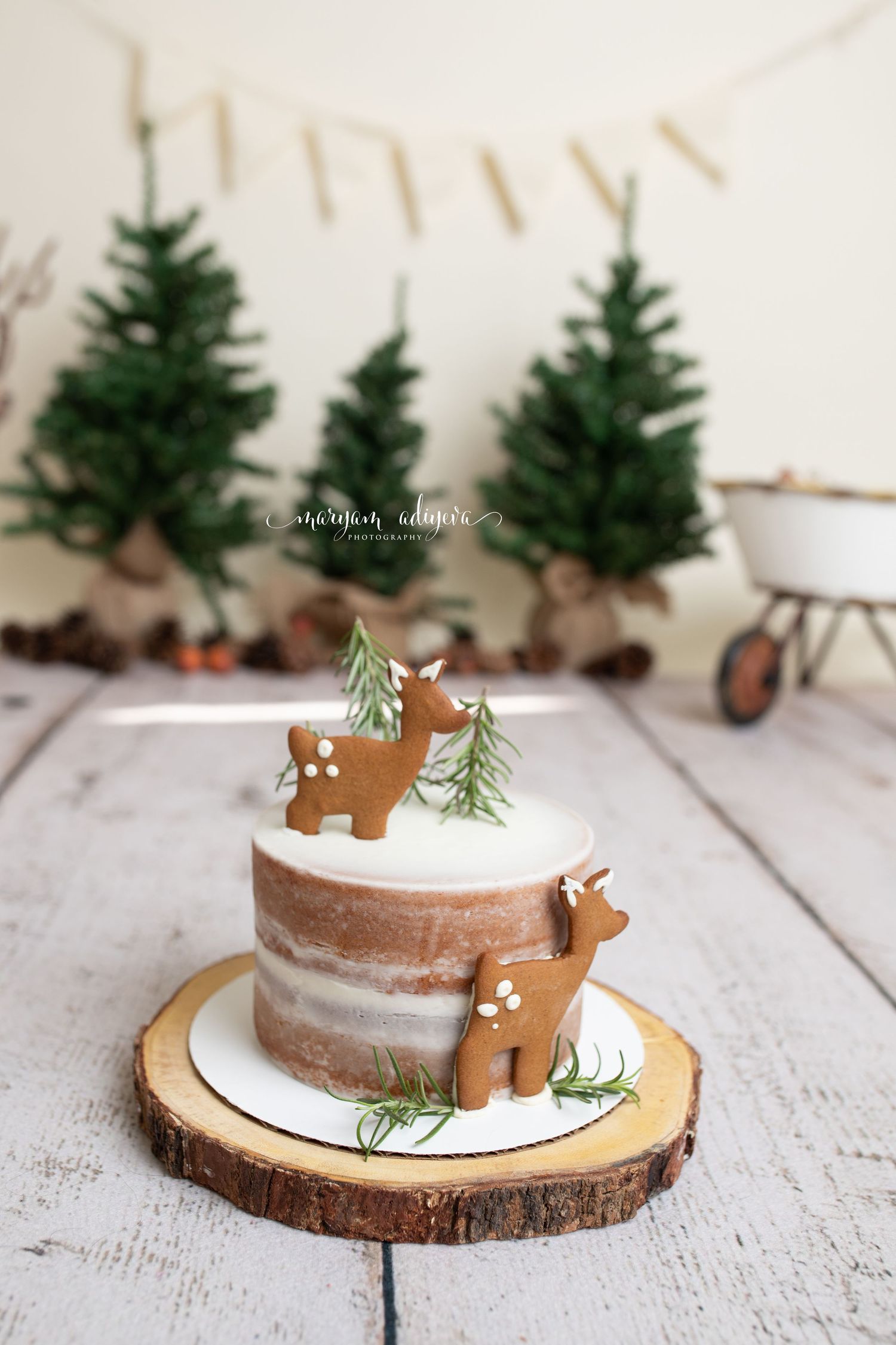 woodland theme cake smash session