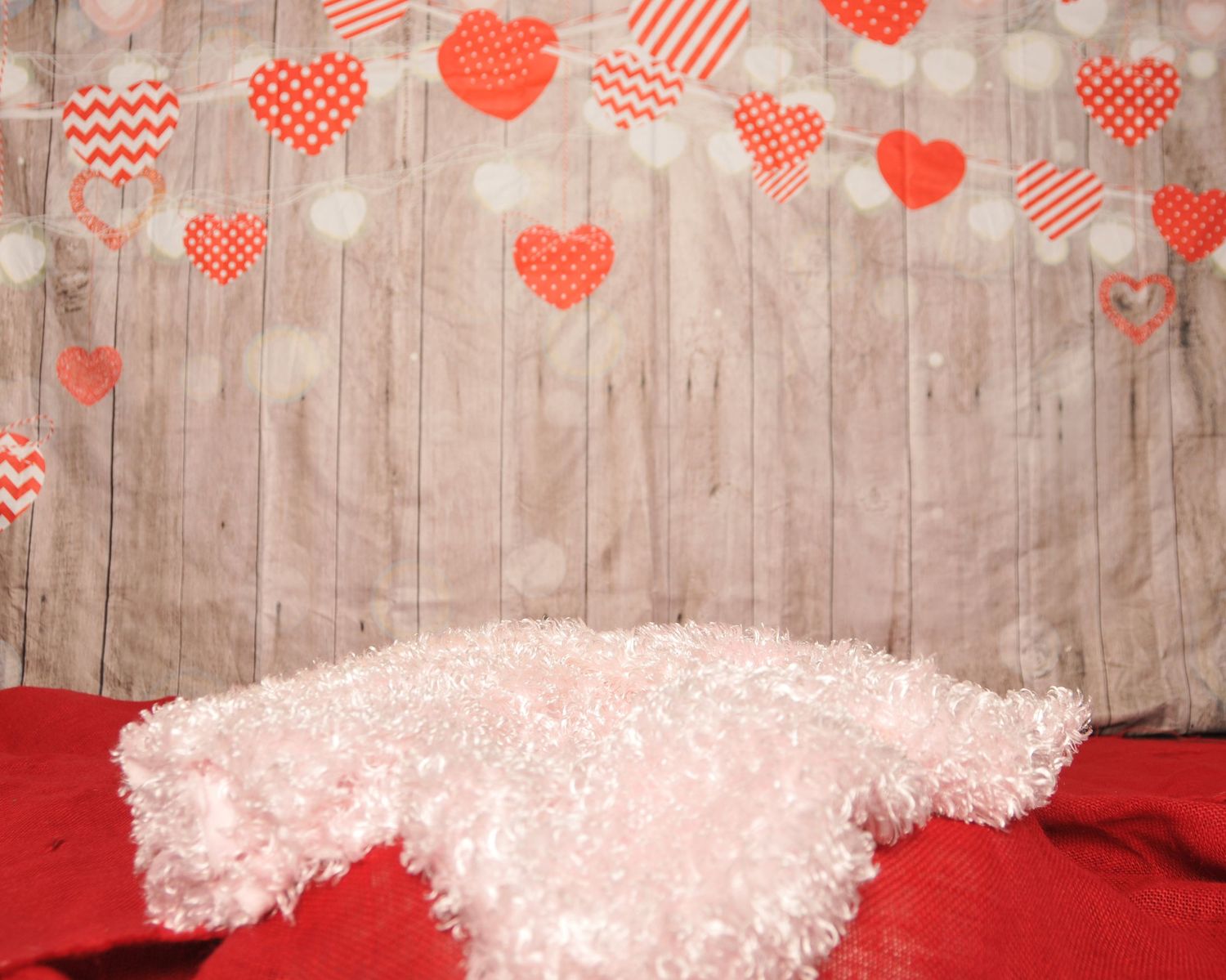 Valentine's Backdrop
