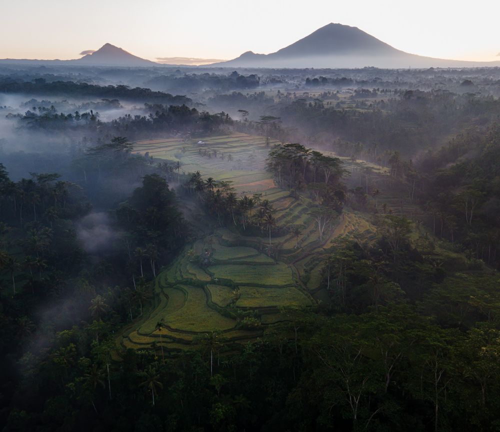 Misty sunrise over terraced rice fields with mountain peaks in the distance.