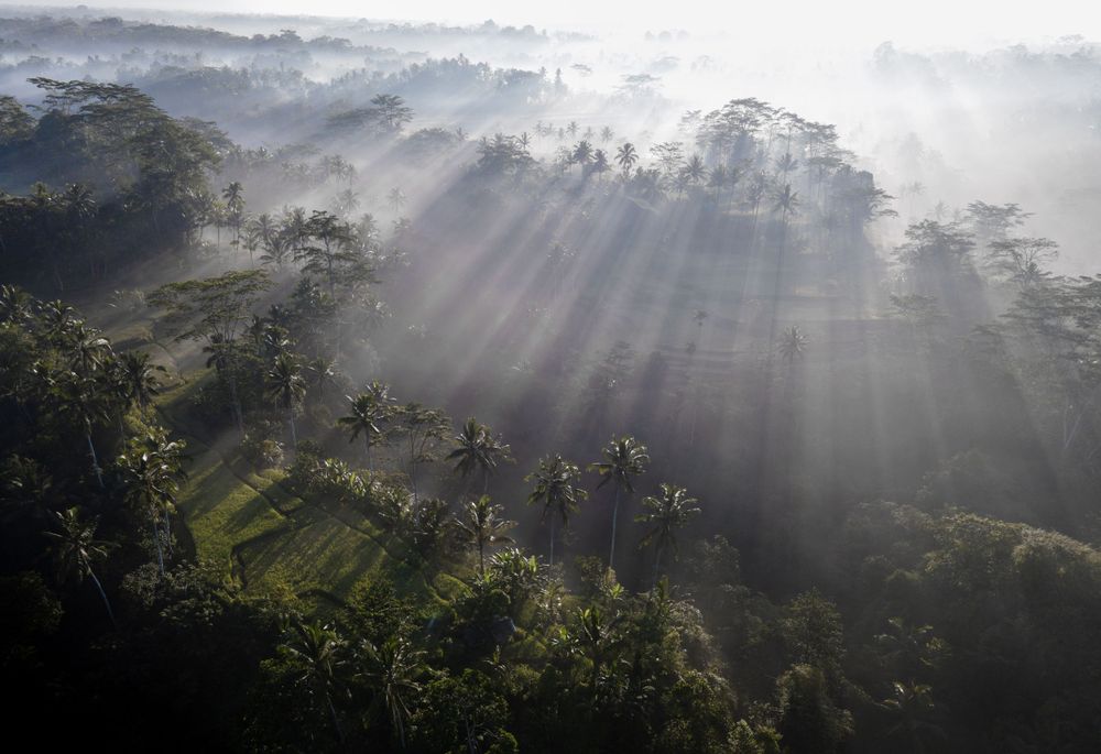 Sunbeams filter through morning mist over terraced agricultural fields and tropical forest.