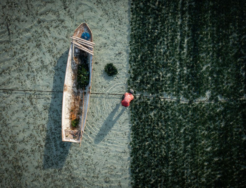 Aerial view of a wooden boat and figure casting a shadow on green agricultural field.