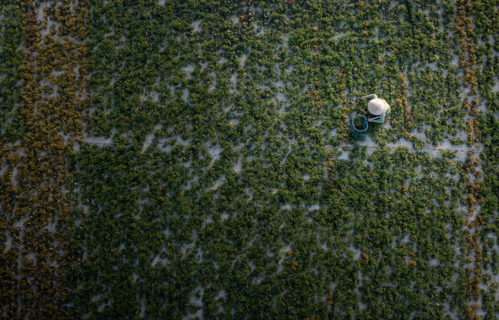 White soccer ball sitting in grass field viewed from above.