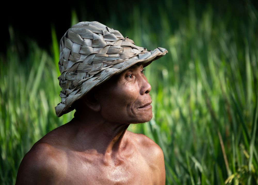 Traditional woven hat worn in green rice fields setting.