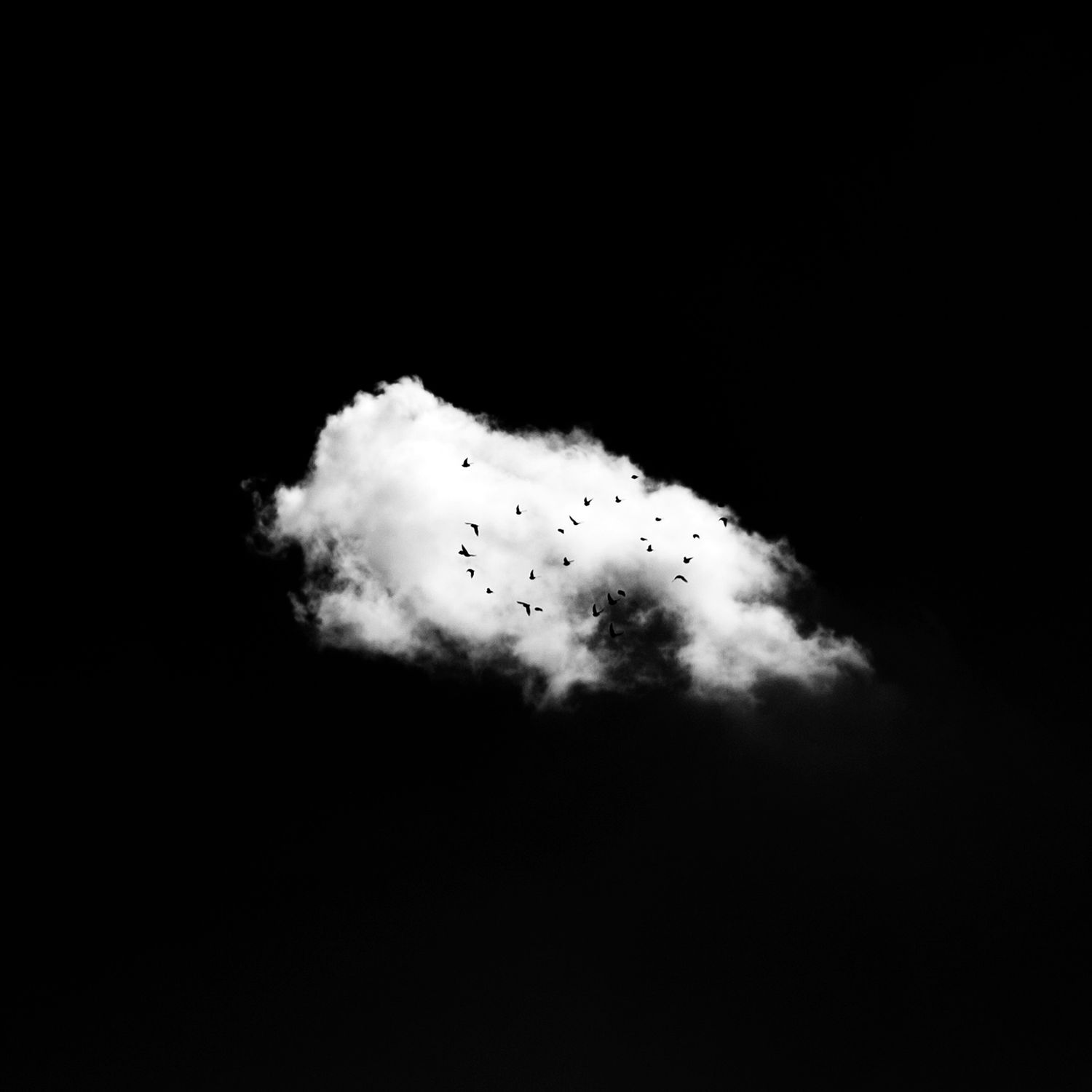 Birds on a cloud