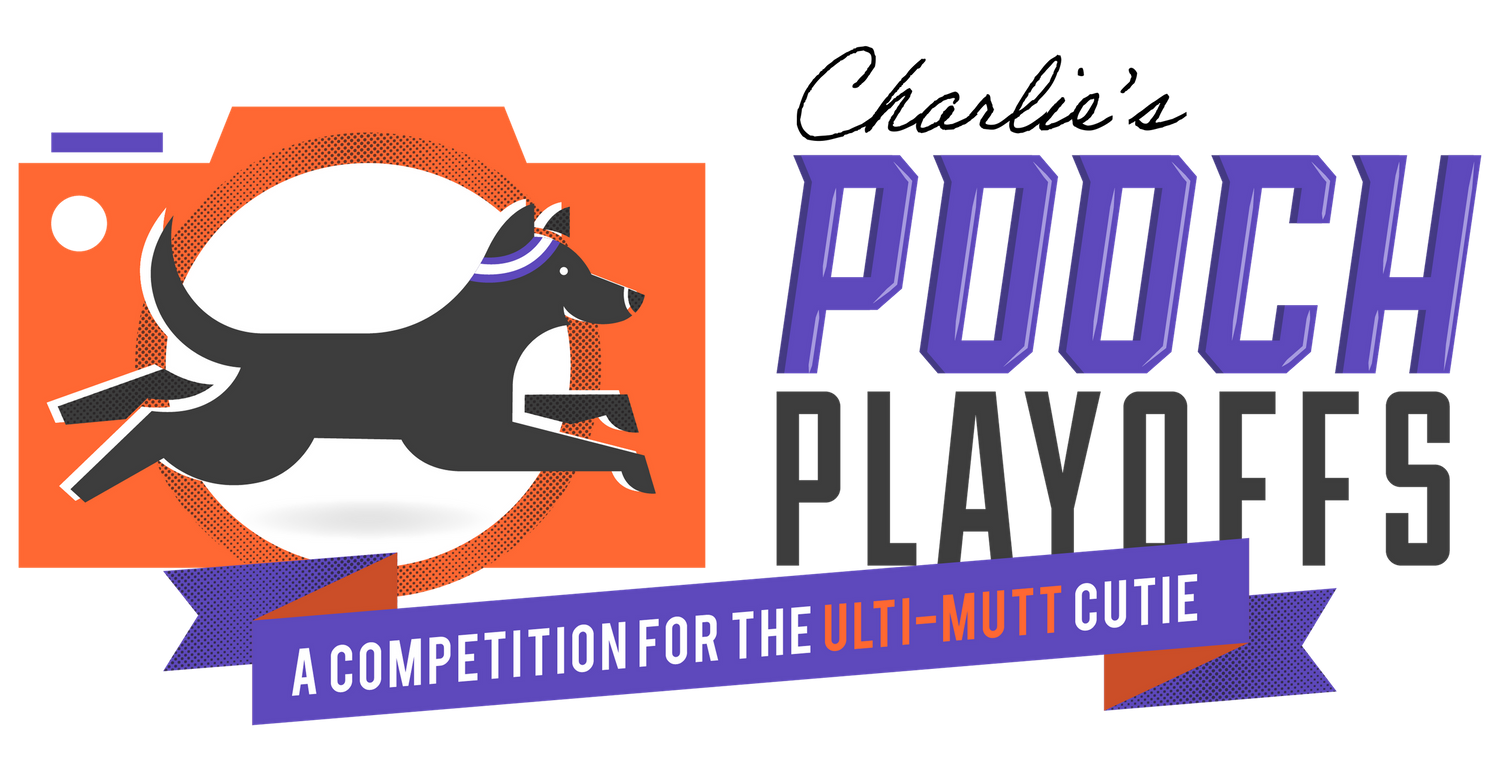 Charlie's Pooch Playoffs - A competition for the ulti-mutt cutie