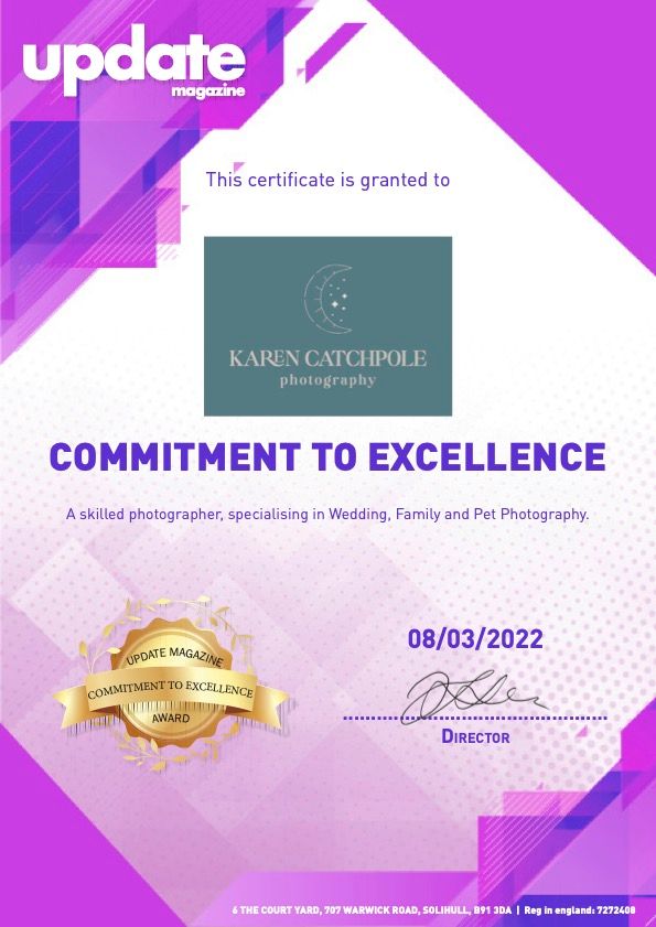 commitment to excellence award