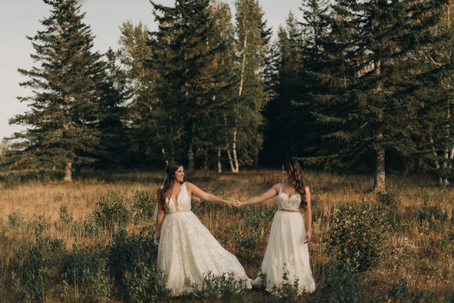 Two people in white wedding dresses hold hands in a sunlit meadow surrounded by evergreen trees.