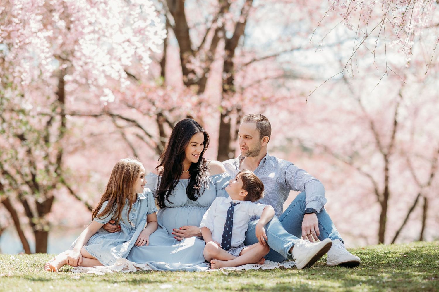 A family in light blue outfits sits on grass beneath blooming pink cherry blossom trees during springtime.
