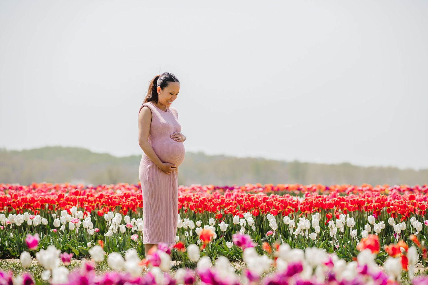 Maternity session shows a woman standing peacefully in a vibrant tulip field wearing a pink dress on a cloudy spring day.