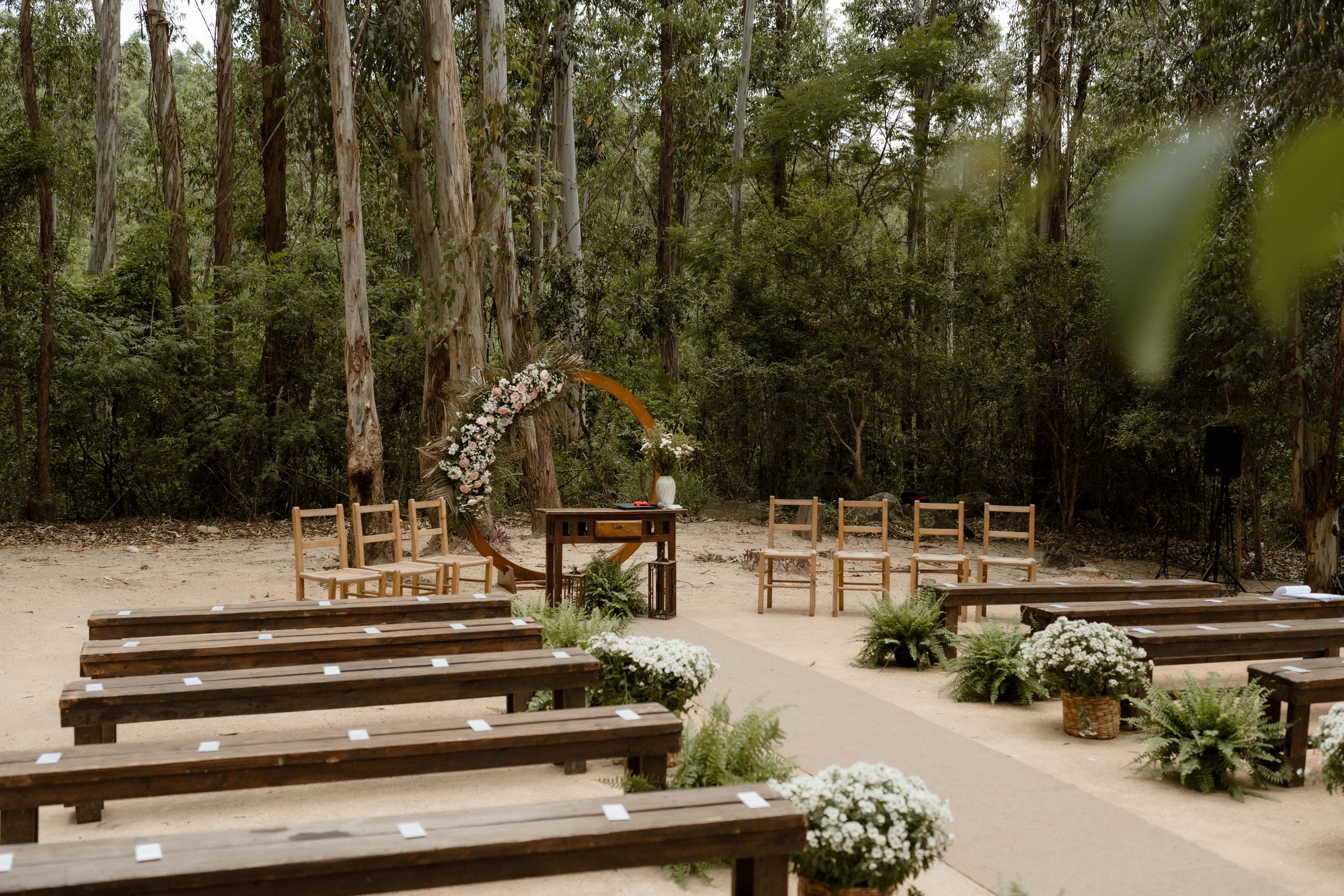 Wooden benches arranged in rows for an outdoor forest ceremony.