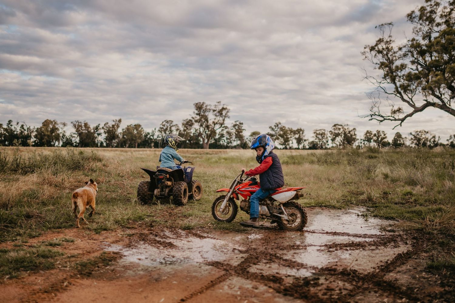 boys riding motorbikes in a muddy paddock with their dog alongside them