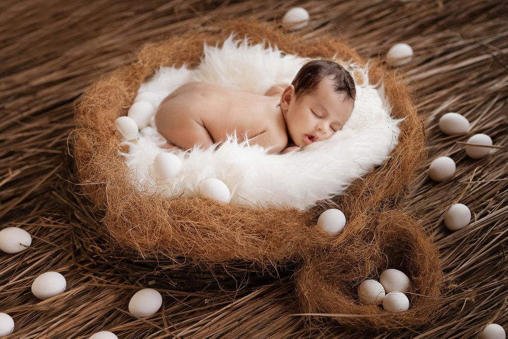 Top creative newborn baby photographer created a artistic shot by arranging baby in bird nest and spreading eggs around