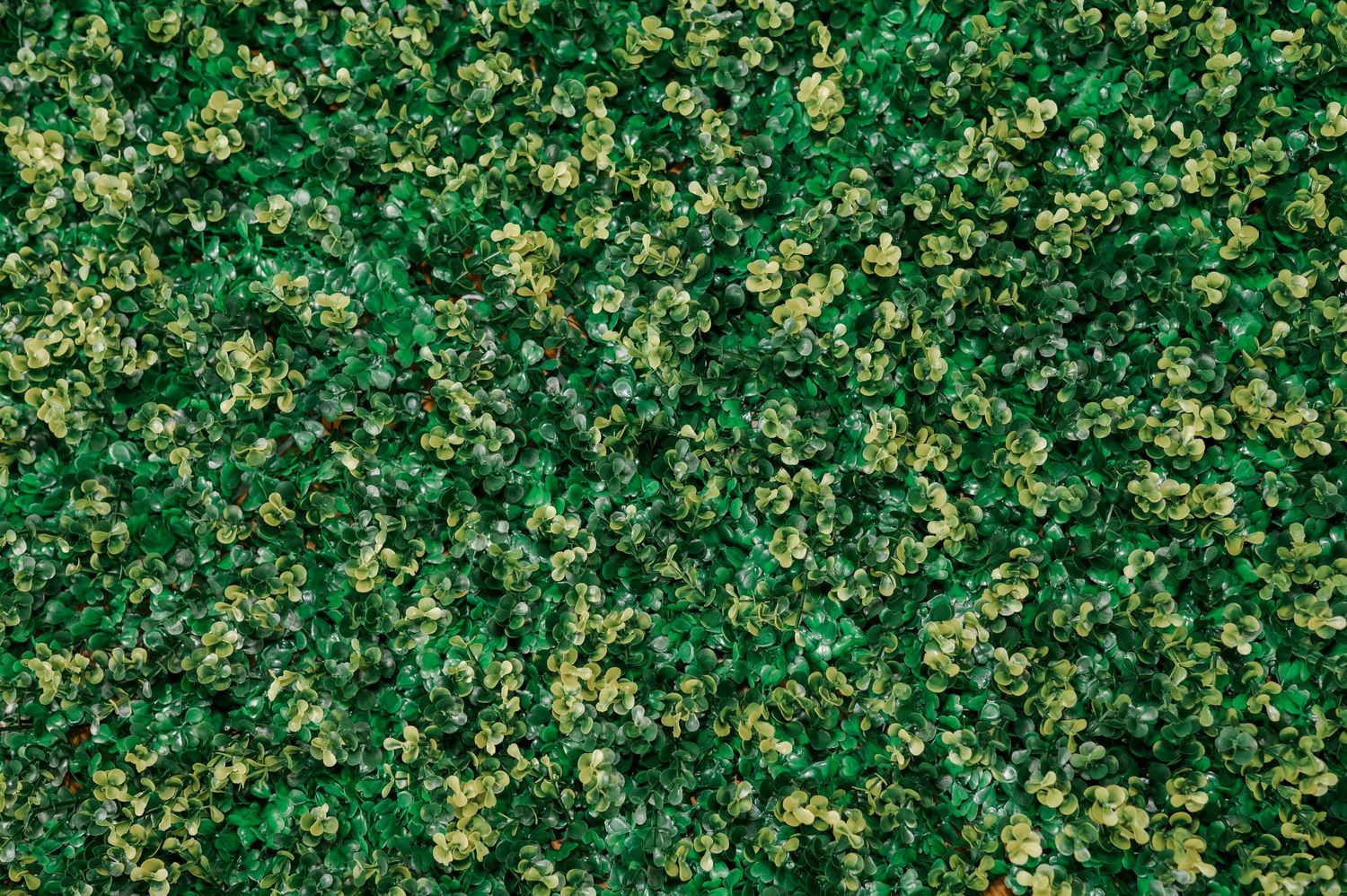 Cool artificial garden backdrop for inside our luxury photobooth for hire