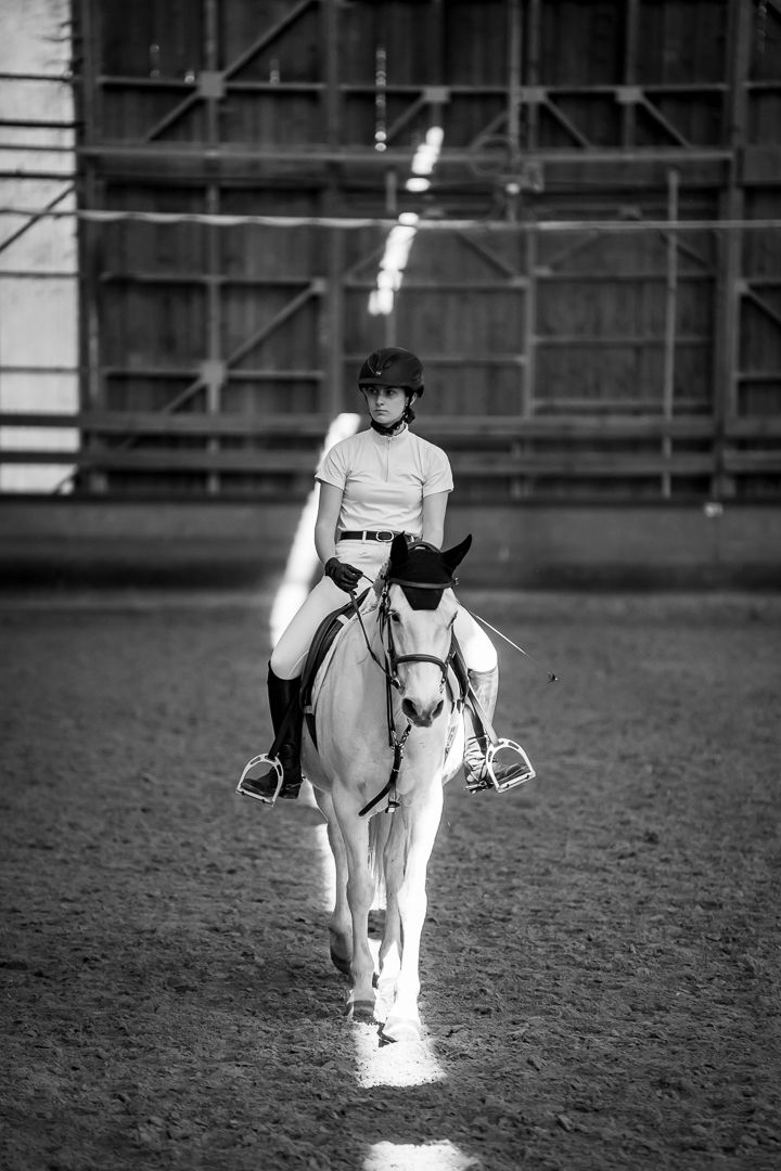 Concours dressage Alsace suivi photo
