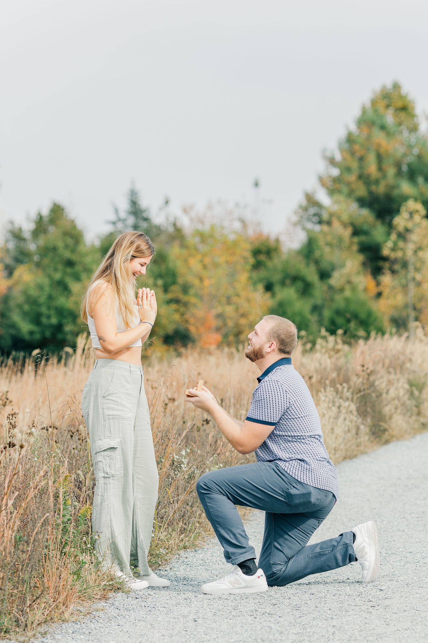 northern virginia surprise proposal glenstone museum