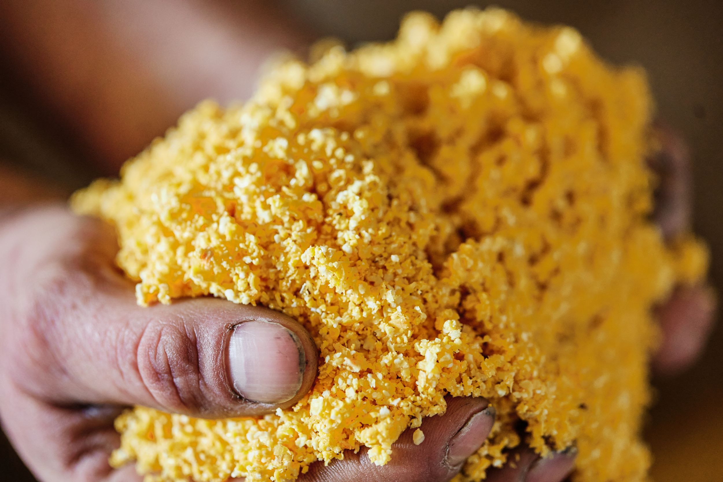 Close-up of yellow corn mash being handled during whiskey production process.