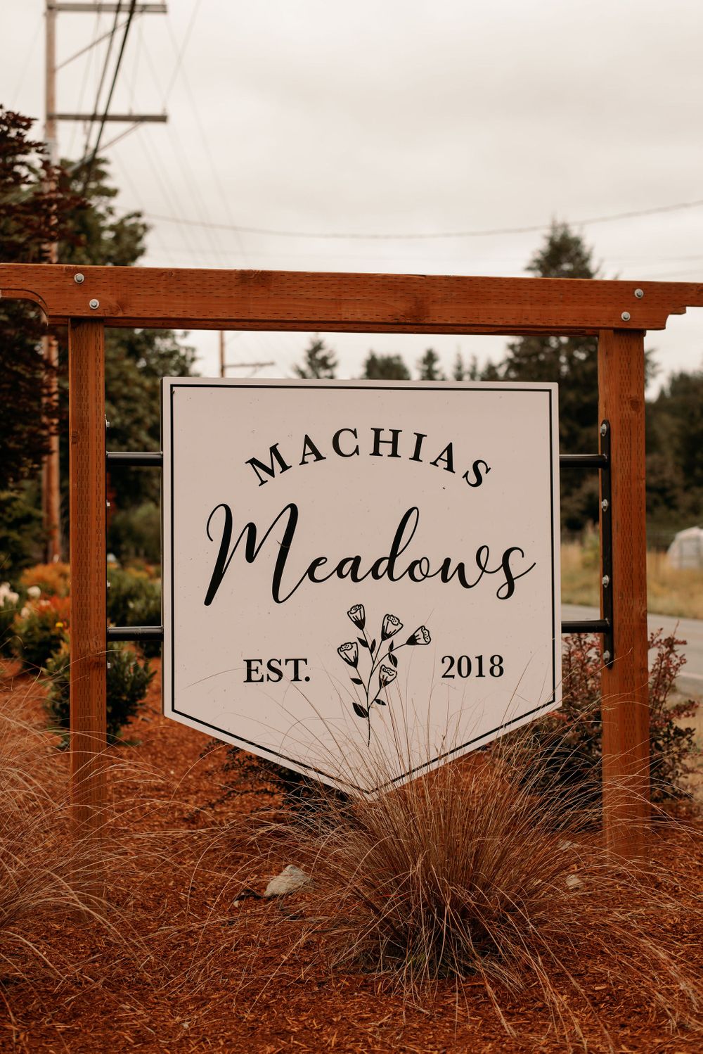 Machias Meadows Wedding Kaitlin Evans Photography