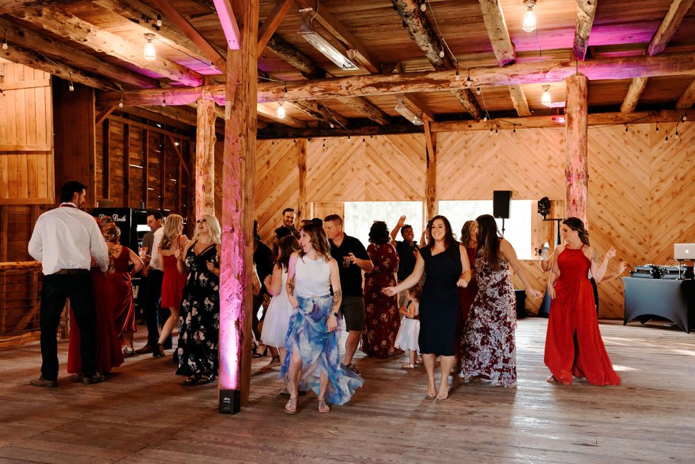 Machias Meadows Wedding Kaitlin Evans Photography