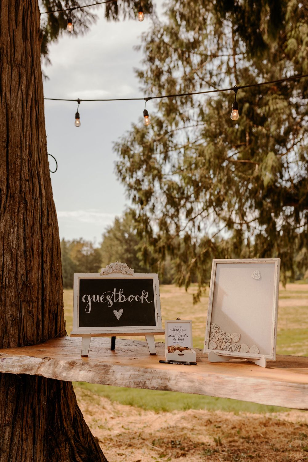 Machias Meadows Wedding Kaitlin Evans Photography