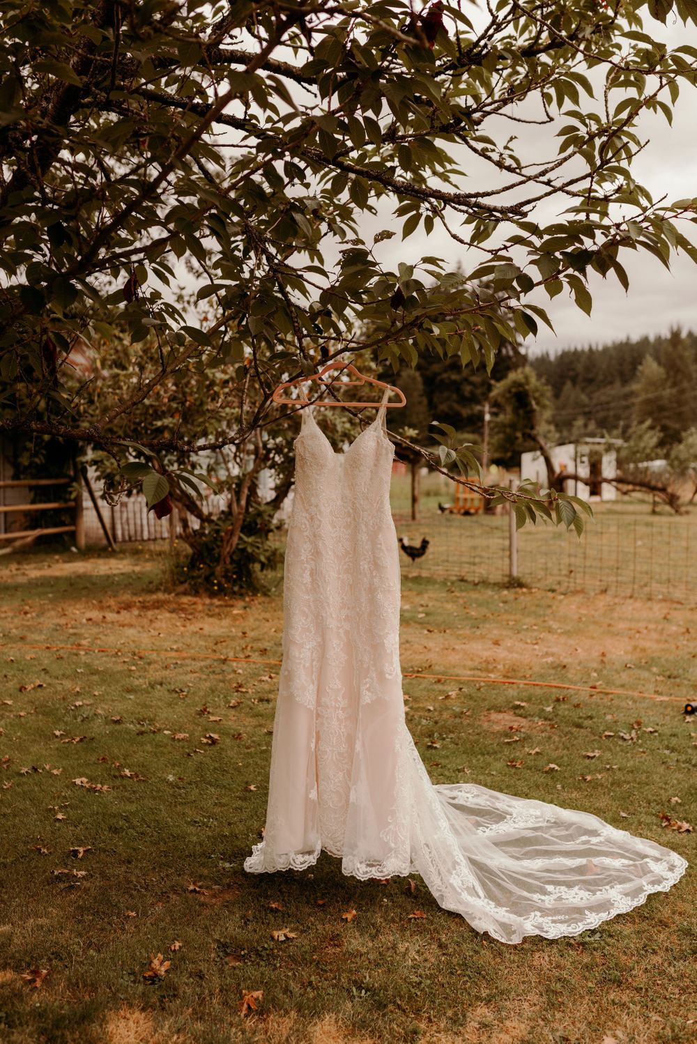 Machias Meadows Wedding Kaitlin Evans Photography