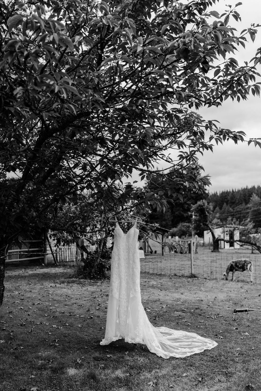 Machias Meadows Wedding Kaitlin Evans Photography