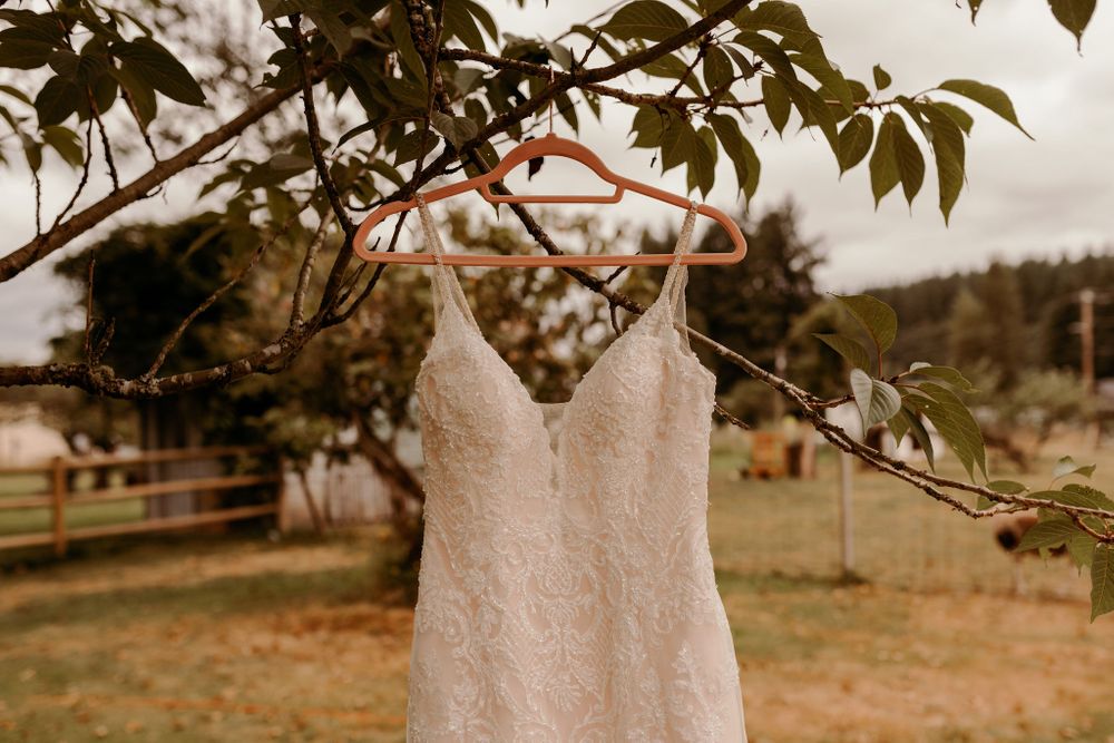 Machias Meadows Wedding Kaitlin Evans Photography