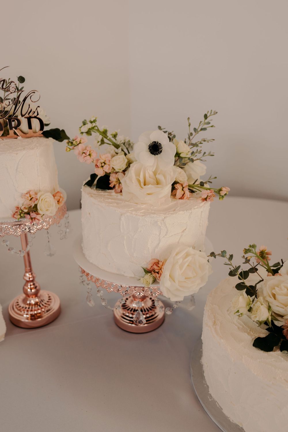 Machias Meadows Wedding Kaitlin Evans Photography